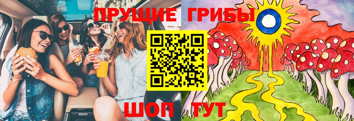 Галлюциногенные грибы MAGIC MUSHROOMS Прохладный